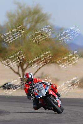 media/Nov-05-2022-SoCal Trackdays (Sat) [[f8d9b725ab]]/Turn 4 Tree of Life (125pm)/